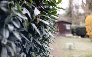 Wohnung 5 Zimmer - image - 1