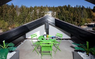 Attic flat 3.5 rooms - image - 2