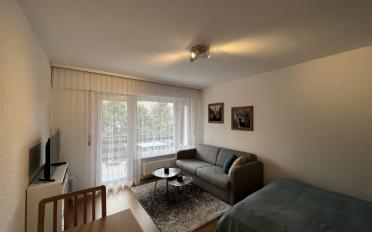 Appartement meublé 1.5 pièces - image - 2