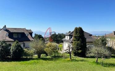 Villa 6.5 Zimmer - image - 1