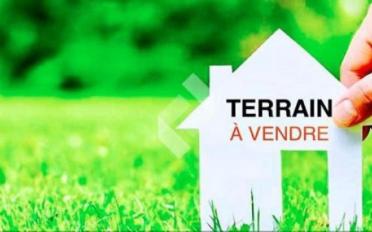 Building land - image - 6