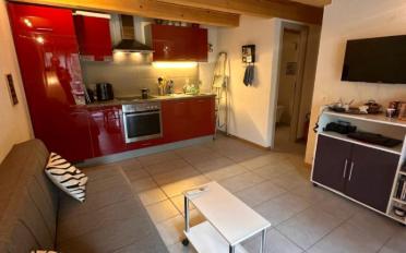 Chalet 2.5 pièces - image - 2
