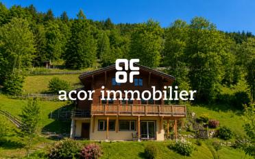 Chalet 9.5 rooms - image - 1