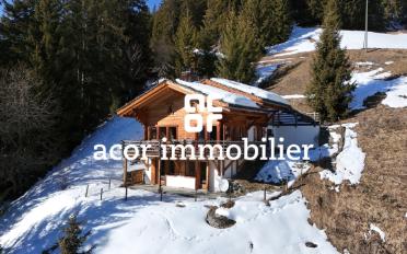 Chalet 4 Zimmer - image - 1