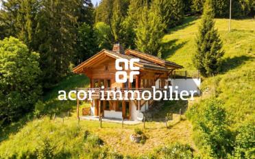 Chalet 4 rooms - image - 1