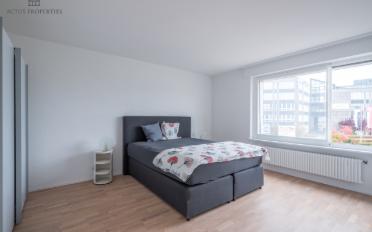 Wohnung 3.5 Zimmer - image - 4