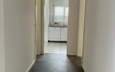 Appartement 5.5 pièces - image - 5