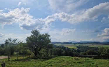Wohnung 3.5 Zimmer - image - 9