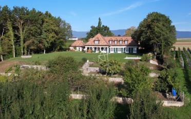 Single house 11 rooms - image - 2