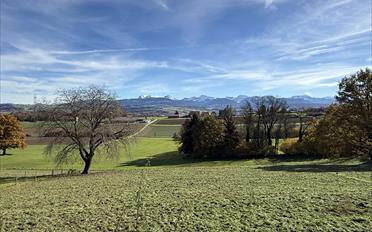 Wohngebäude - image - 6