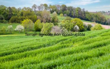 Bauland - image - 1