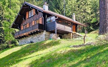 Chalet 3.5 pièces - image - 17