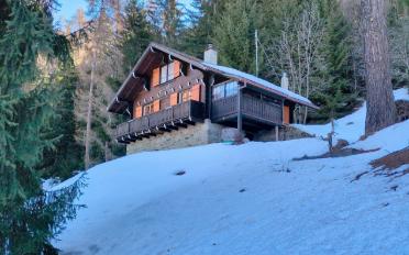 Chalet 3.5 pièces - image - 4