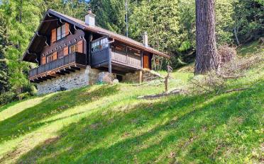 Chalet 3.5 pièces - image - 11