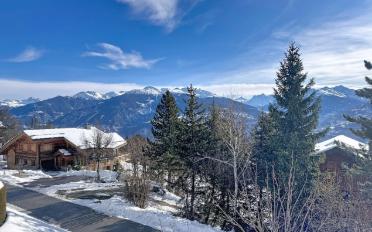 Chalet 4.5 Zimmer - image - 19