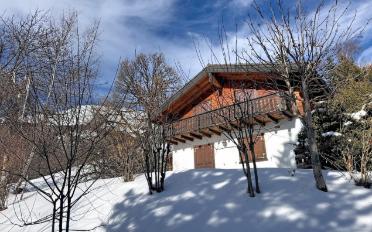 Chalet 4.5 Zimmer - image - 20
