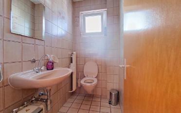 Büro 6.5 Zimmer - image - 13