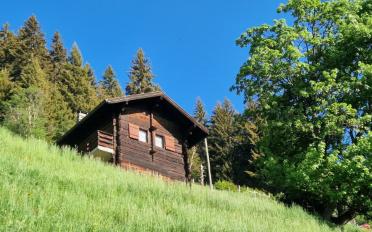 Chalet 3.5 rooms - image - 14