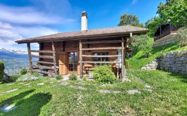 Chalet 3.5 Zimmer - image - 19