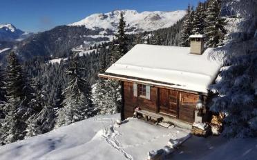 Chalet 3 Zimmer - image - 1