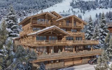 Chalet 11 pièces - image - 1