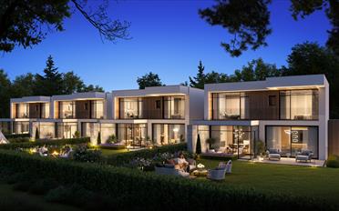 Maison contiguë - image - 4