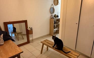 Wohnung 3.5 Zimmer - image - 5