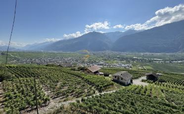 Einfamilienhaus - image - 9