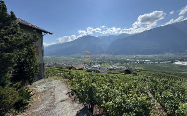 Einfamilienhaus - image - 7