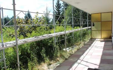 Furnished flat 2.5 rooms - image - 10