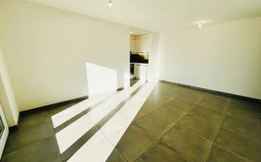 Terrace flat 2.5 rooms - image - 3