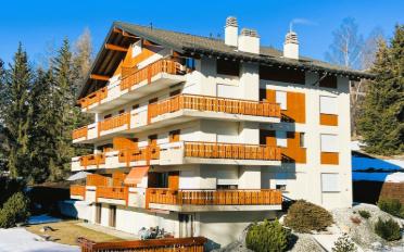 Terrace flat 2.5 rooms - image - 12