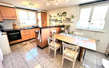 Einfamilienhaus 13.5 Zimmer - image - 2
