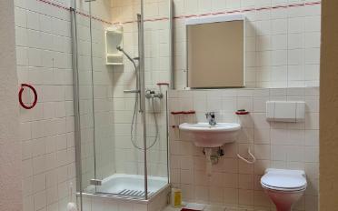 Wohnung ein Zimmer - image - 7