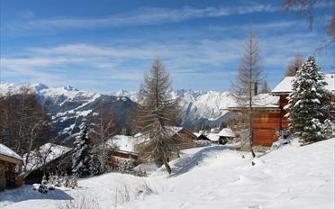 Terrain à bâtir - image - 1