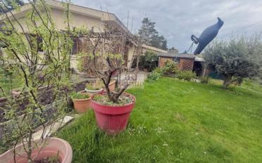 Single house 5 rooms - image - 5