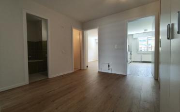 Wohnung 3 Zimmer - image - 4