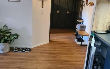 Apartment 2.5 rooms - image - 11