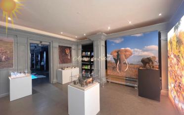 Shop 4 rooms - image - 2