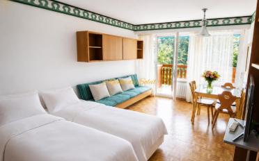 Studio 1 room - image - 2