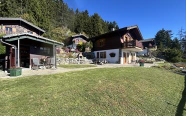 Chalet 4 rooms - image - 3