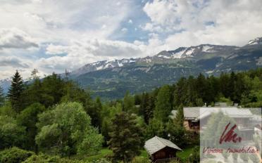 Chalet 8.5 pièces - image - 3