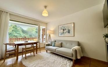 Wohnung 2.5 Zimmer - image - 1
