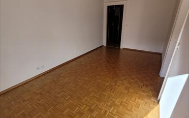 Wohnung 2.5 Zimmer - image - 5