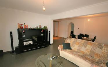 Villa - image - 13
