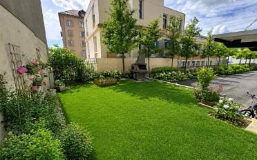 Duplex 3.5 Zimmer - image - 11