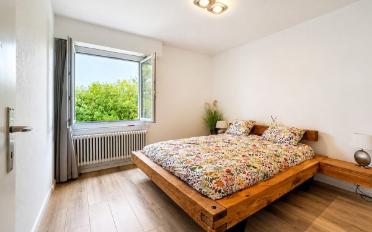Apartment - image - 4
