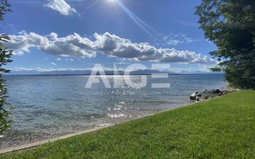Villa 10 Zimmer - image - 1