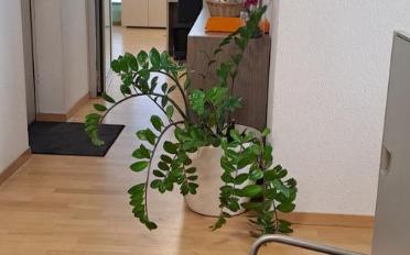 Office - image - 9