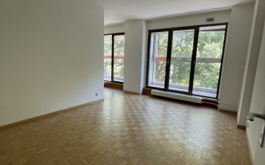 Wohnung ein Zimmer - image - 6